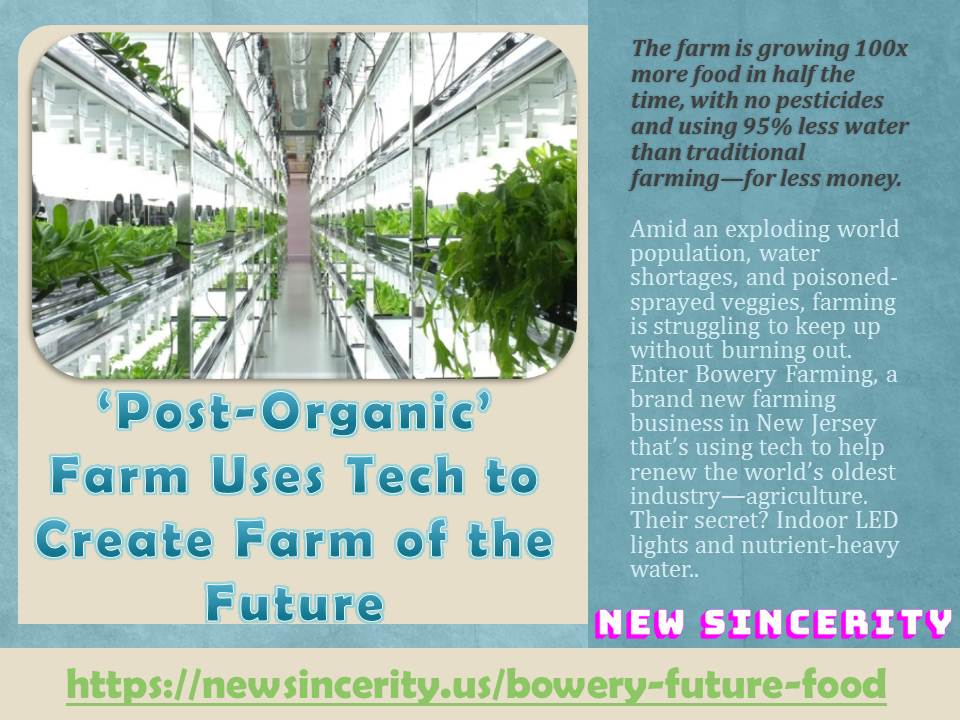 ‘Post-Organic’ Farm Uses Tech to Create Farm of the Future - New Sincerity